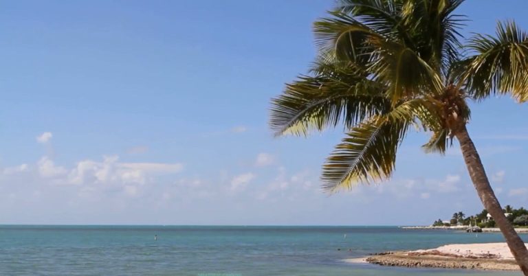 Island Breeze Vacations
